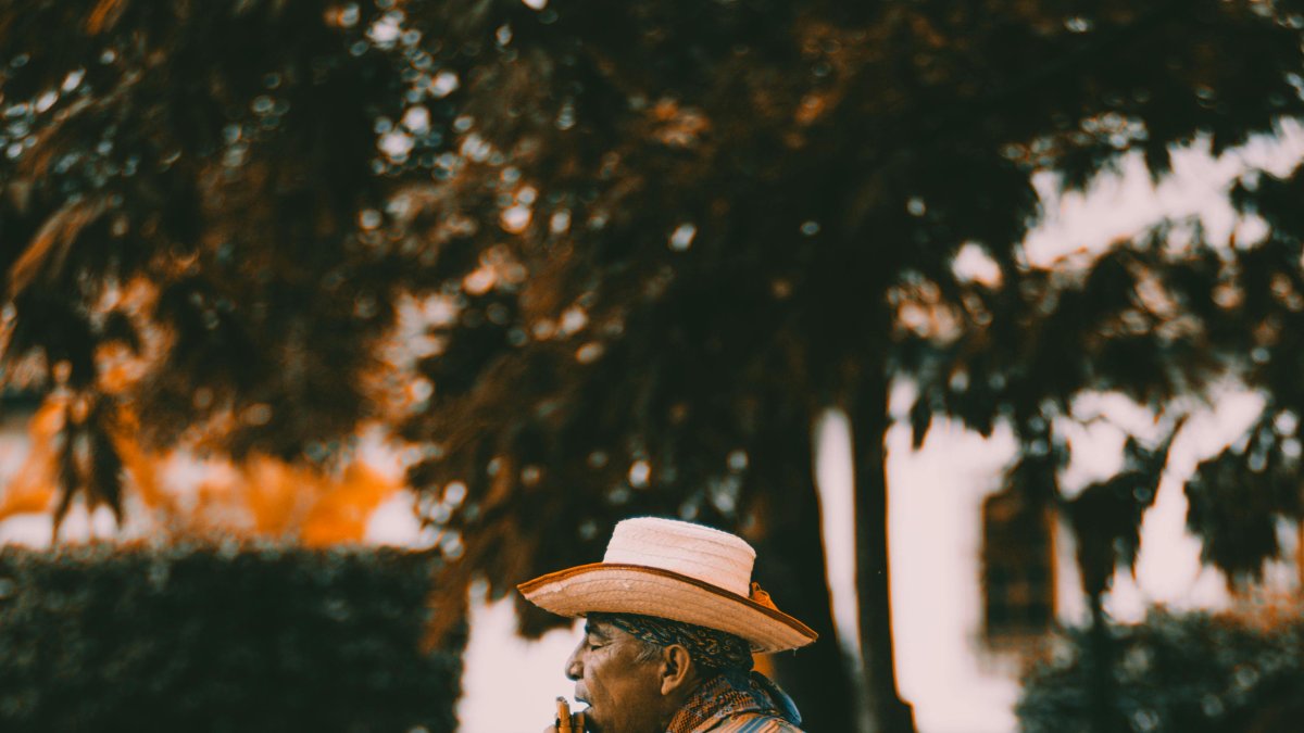 Fábula. Una puesta en escena para niños y jóvenes.