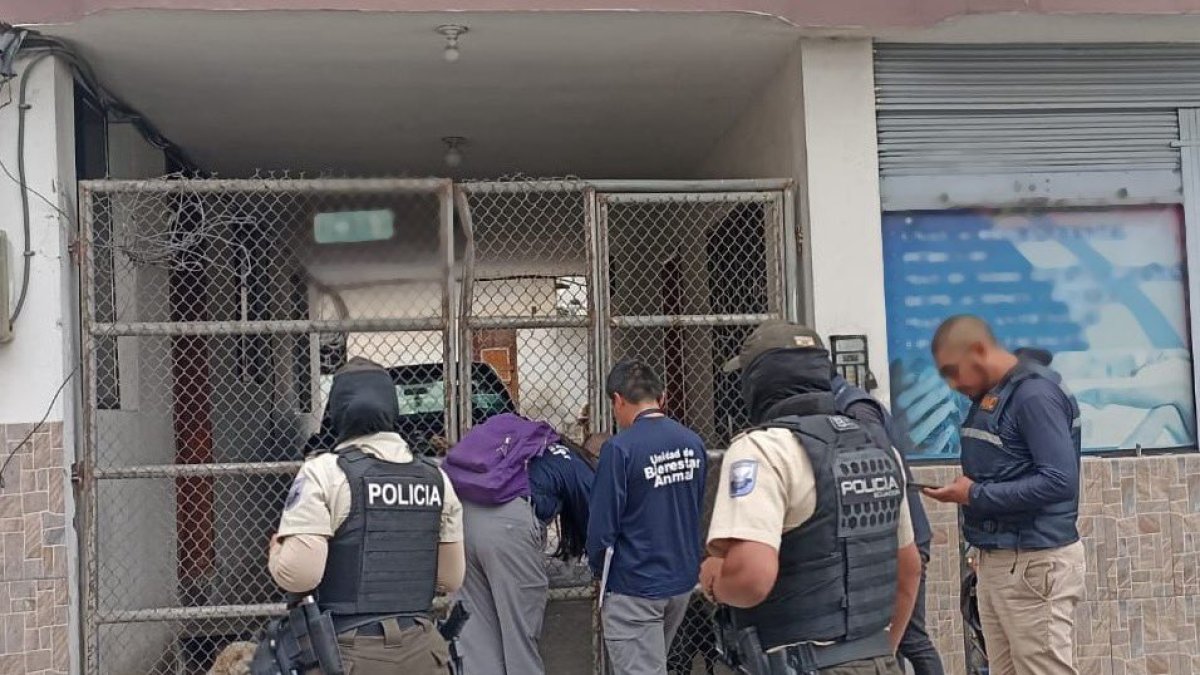 En un operativo realizado por la Unidad de Bienestar Animal y otras entidades encontraron dos perros en estado crítico de desnutrición severa