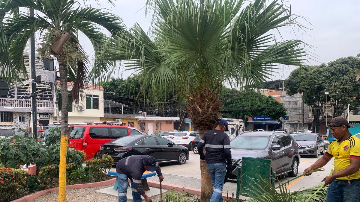 El parque recibió mantenimiento por parte de las autoridades