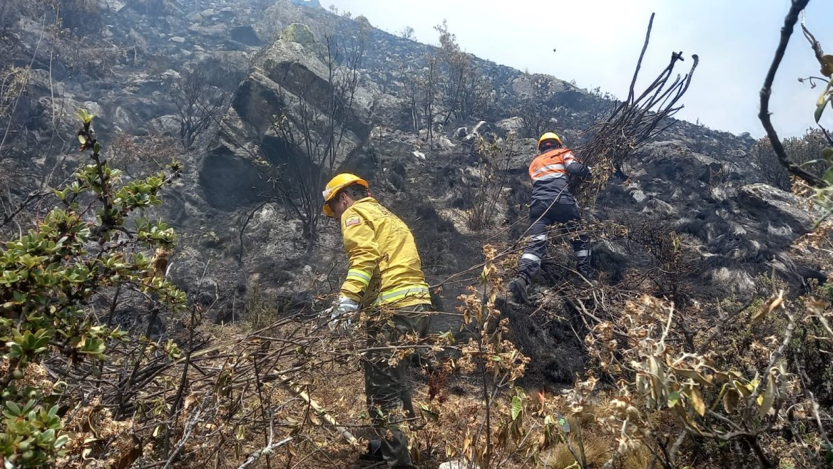 Personal bomberil apoyó en el combate de los incendios en Llaviucu, Parque Nacional Cajas.