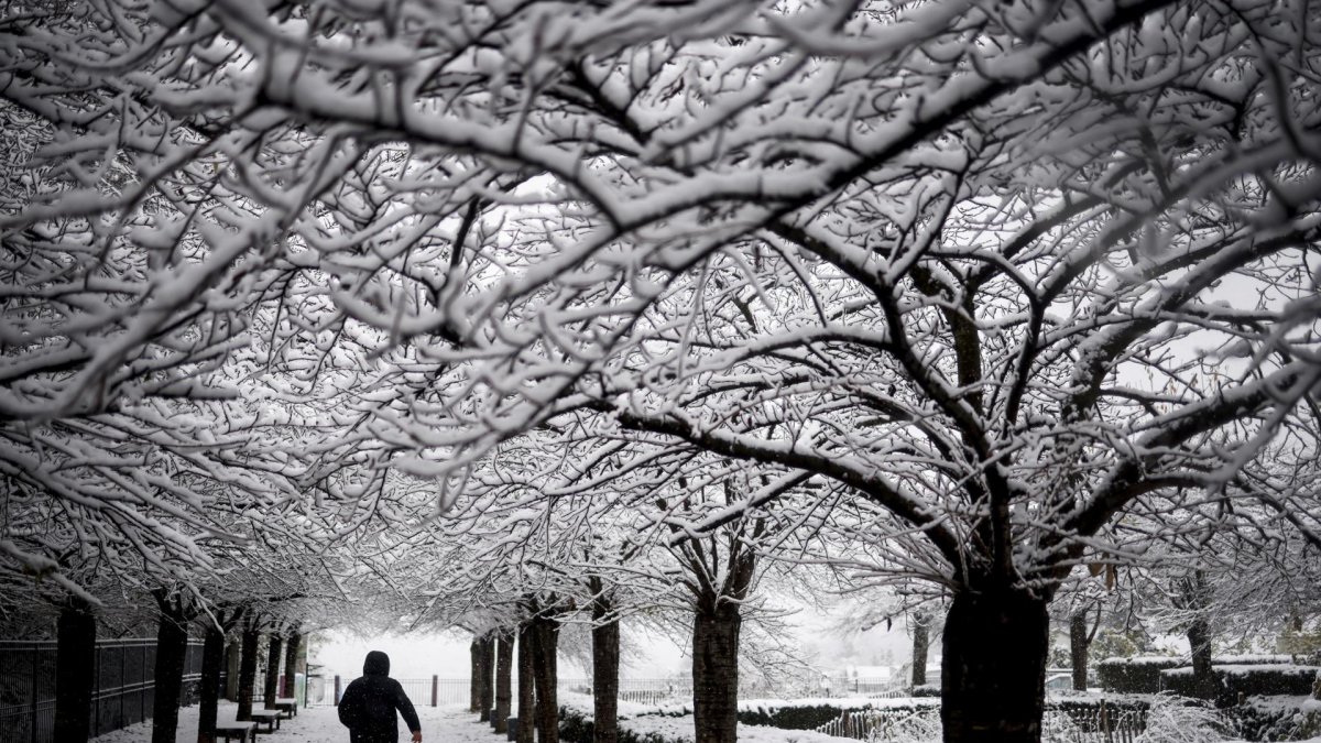 Una persona camina en un sendero de parque en París, durante el temporal de nieve y hielo que afectó a Francia.