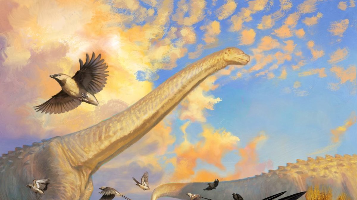 Impresión artística de Navaornis, de la que se ha encontrado un fósil 