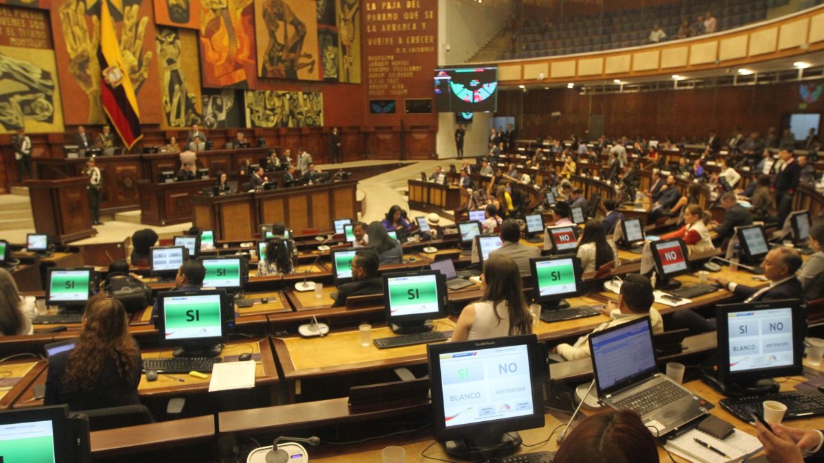 En 2025, los ecuatorianos elegirán a 151 asambleístas: 15 nacionales, 130 provinciales y 6 del extranjero.