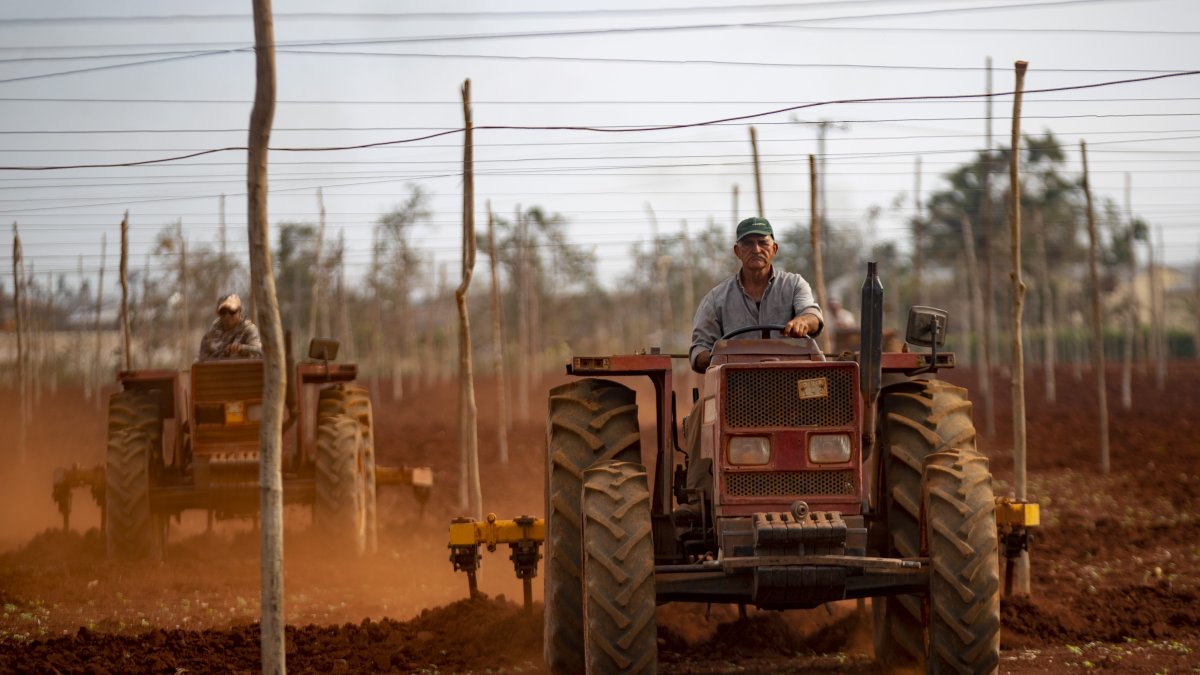 Dos hombres sobre tractores trabajan arando la tierra afectada por el paso del huracán Rafael, en Artemisa.