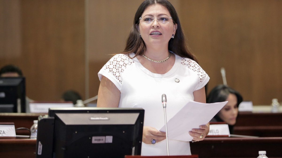 Sofía Espín envió una solicitud a Pamela Aguirre para iniciar la fiscalización de los supuestos chats de Fernando Villavicencio.