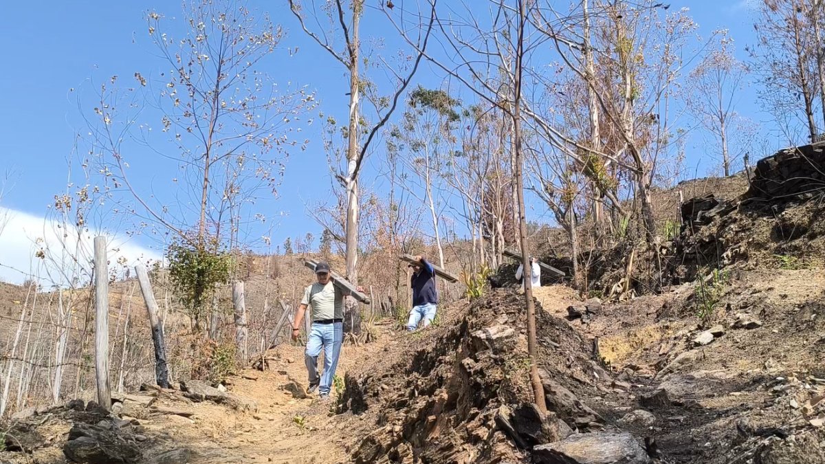 Habitantes y miembros de colectivos retiraron las cenizas y limpiaron las áreas afectadas por el incendio.