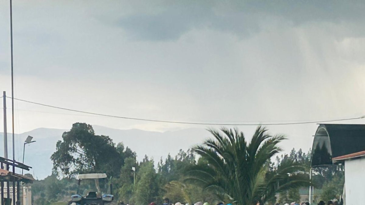 Las presencia permanente de gente no les permite trabajar libremente en las haciendas brcoleras.