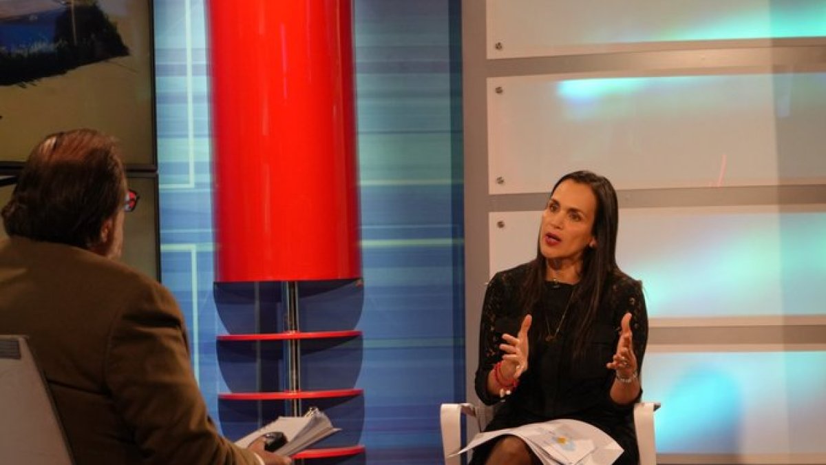 La ministra de Energía (encargada), Inés Manzano, en entrevista, este 26 de noviembre de 2024.