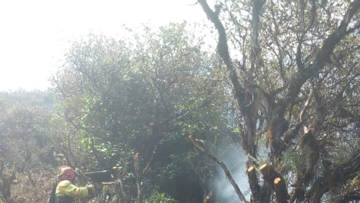 Los incendios se mantuvieron durante días en el Parque Nacional El Cajas.