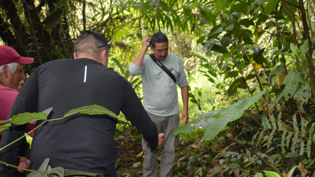 En el corredor Llanganates- Sangay se encuentran 9 mil hectáreas de bosques protegido.