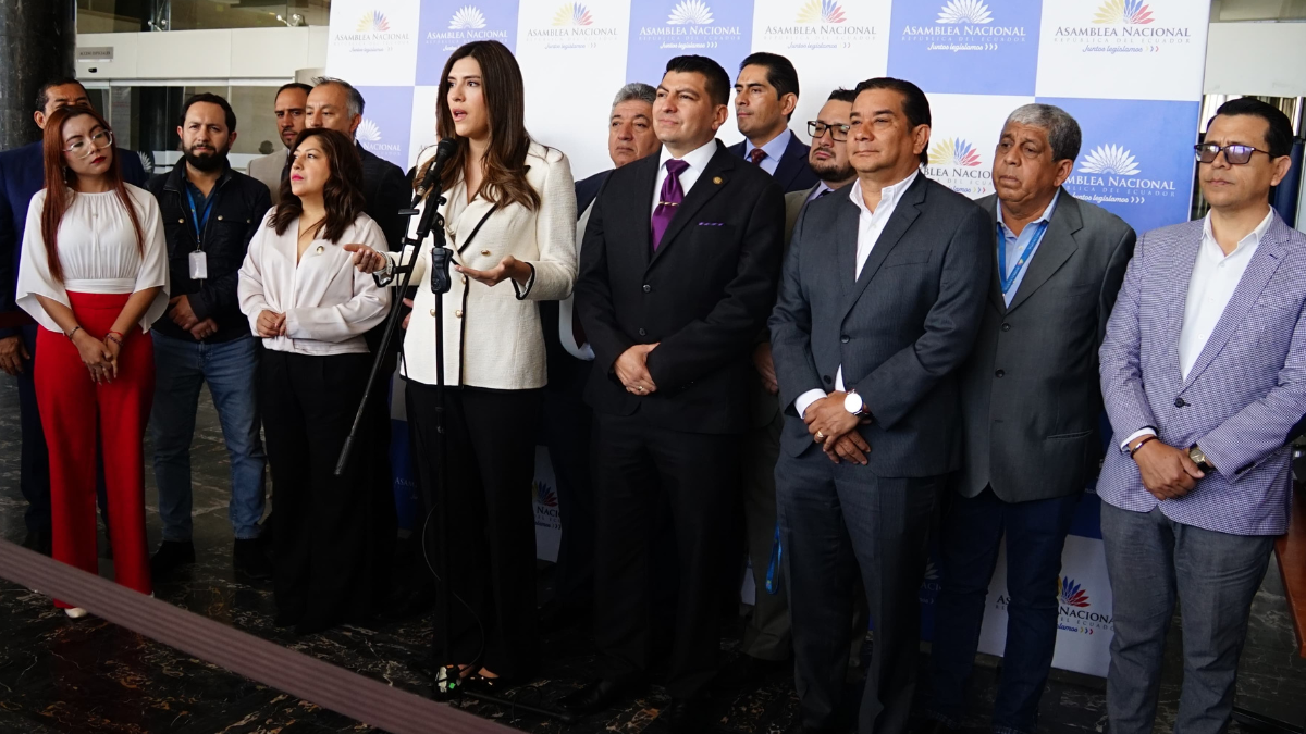 El legislador Jorge Peñafiel presentará la moción.