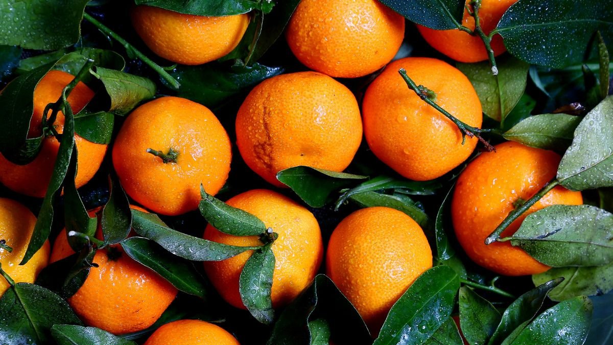 Conoce la fruta que podría salvar tus riñones si la comes todos los días.