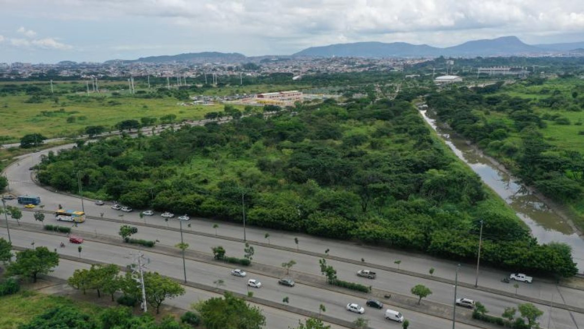 El Malecón 3000 se ubicaría cerca al parque Samanes.
