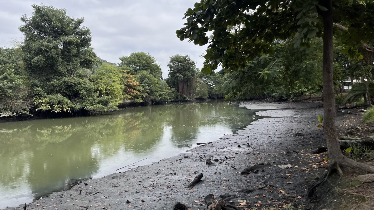 La contaminación de los cuerpos de agua del país es un tema que preocupa a la academia; sin embargo, en los planes de trabajo de los presidenciables escasean las soluciones.