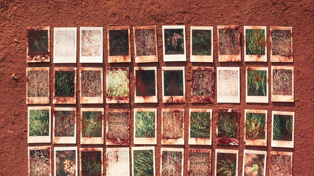 Este año la feria de arte se enfocará en la fotografía.