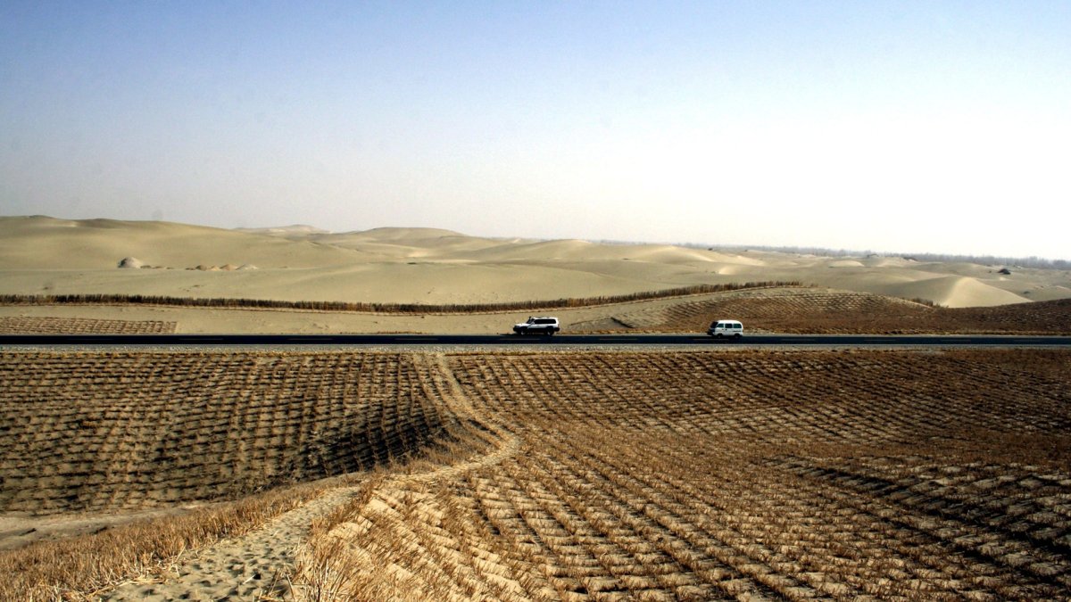Furgonetas recorren un tramo del desierto de Taklamakan, en el noroeste de la región autónoma china de Xinjiang.
