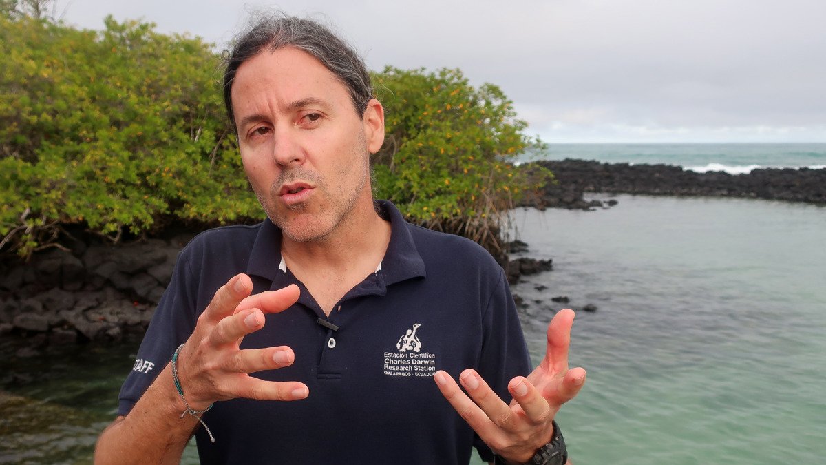 Científico español Nicolás Moity, ecólogo marino senior y experto geoespacial de la FCD,