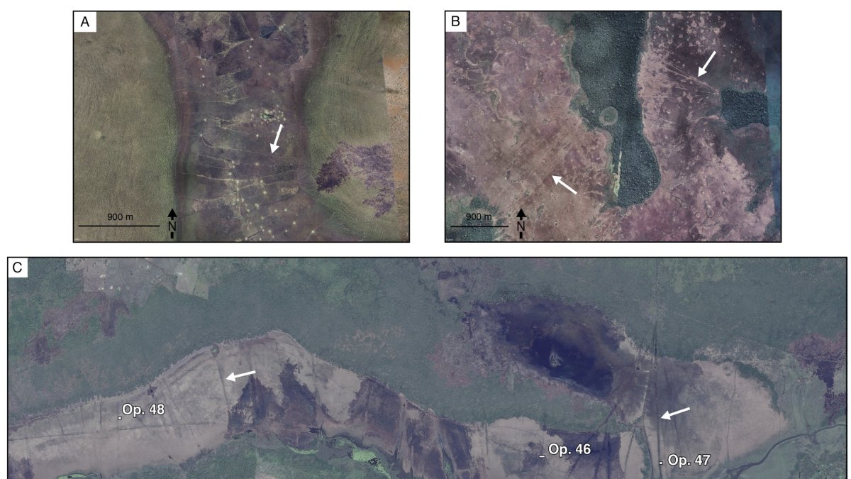 Paisajes de llanuras aluviales estacionales con presas para peces que se asemejan a las del Crooked Tree. 