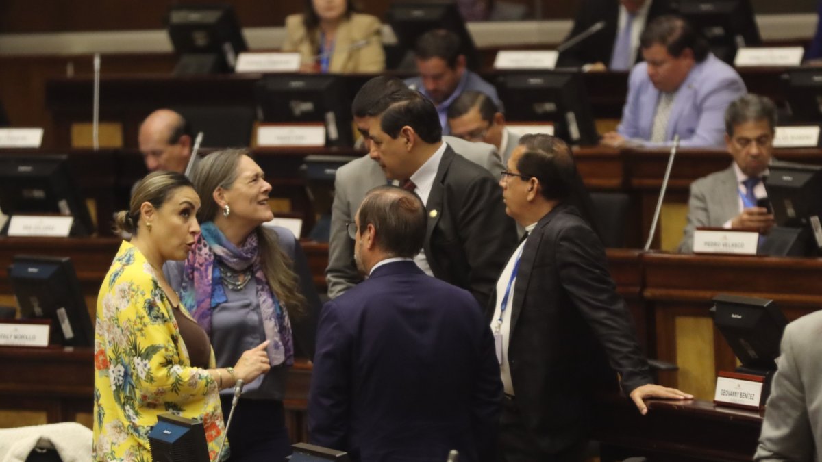 El 9 de febrero de 2025, los ciudadanos deberán escoger, en las urnas, nueve asambleístas nacionales, 130 provinciales y seis del extranjero.