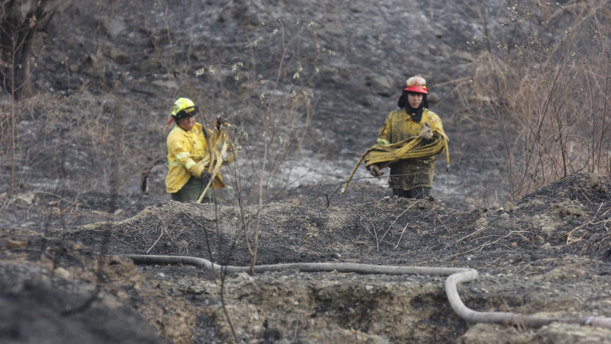 El intenso calor contribuyó a que las llamas de propaguen con mayor facilidad.