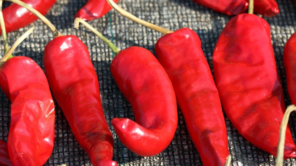 El ají se lo puede combinar con diferentes platos, bebidas y hasta en postres.