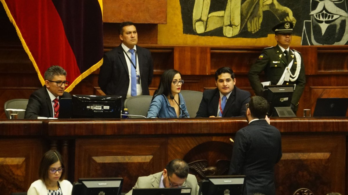 La correísta Viviana Veloz preside la Asamblea Nacional.