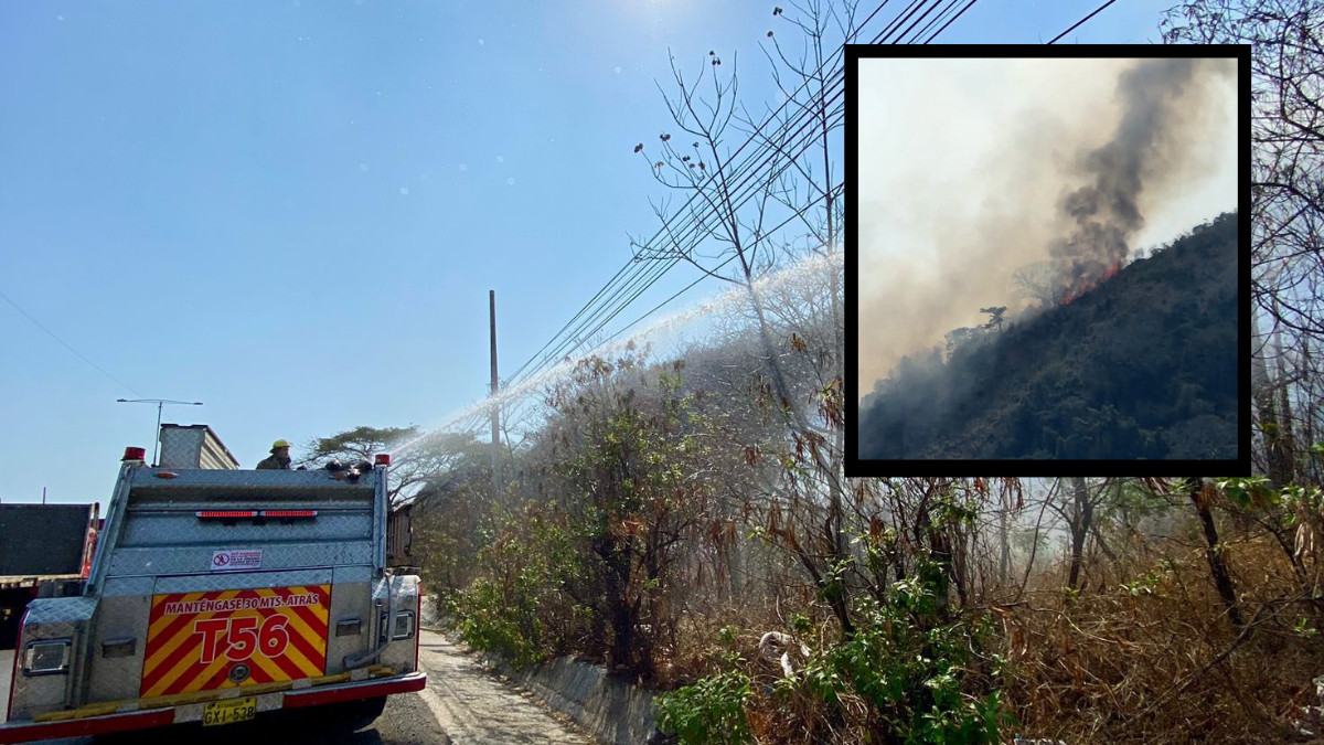 El incendio forestal en Cerro Azul afecta a más de 36 hectáreas.