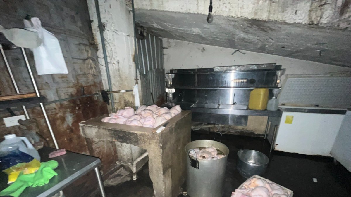 lEl escenario observado en el asadero de pollos en Cuenca ha causado indignación colectiva.