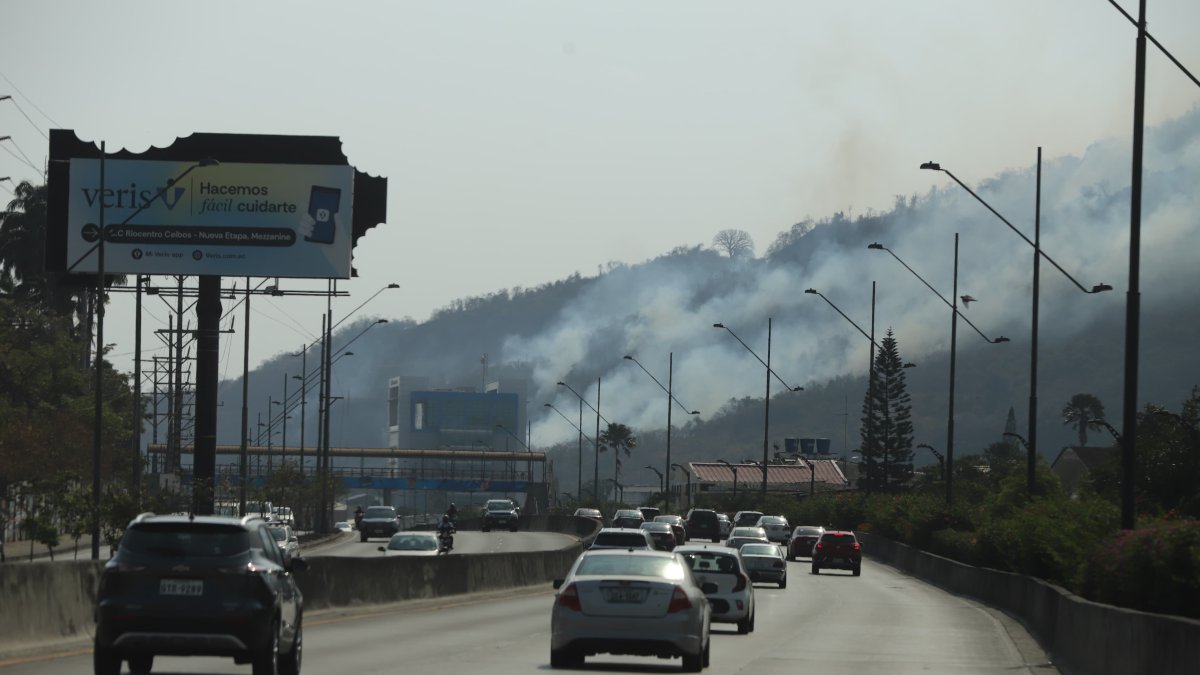 Vista del incendio desde Los Ceibos.