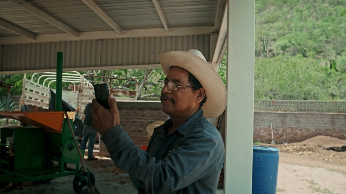 La llegada de Starlink mejoró el estilo de vida de ciertas poblaciones