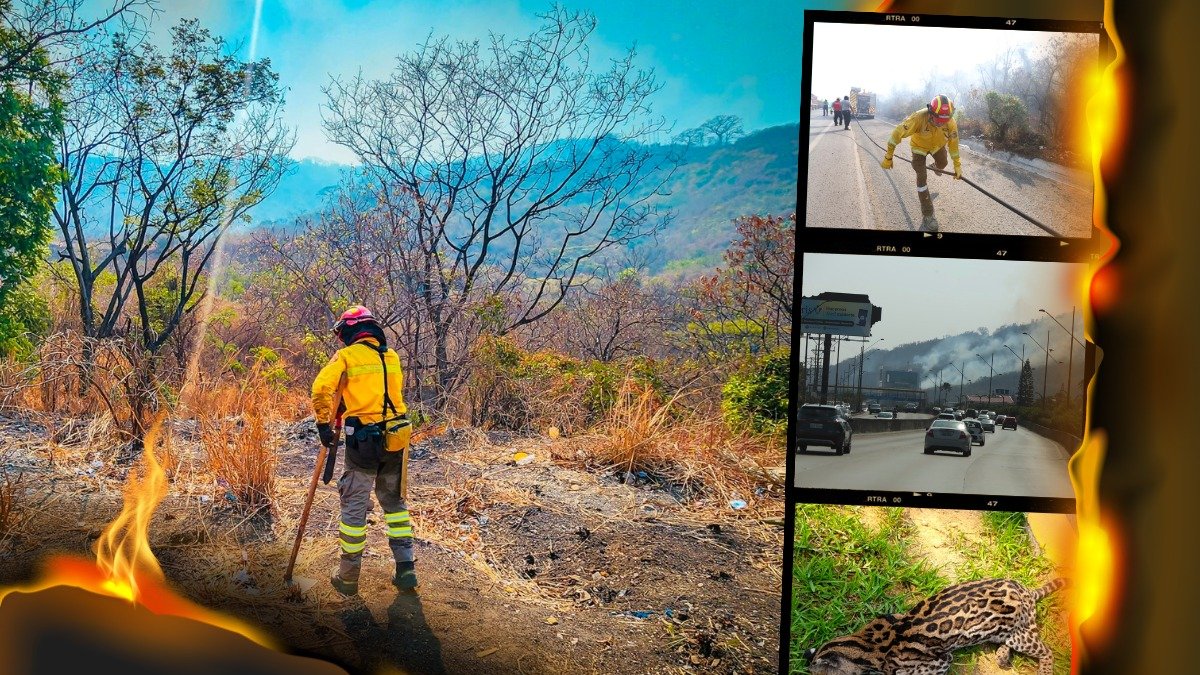 El suceso fue dado a conocer en X.