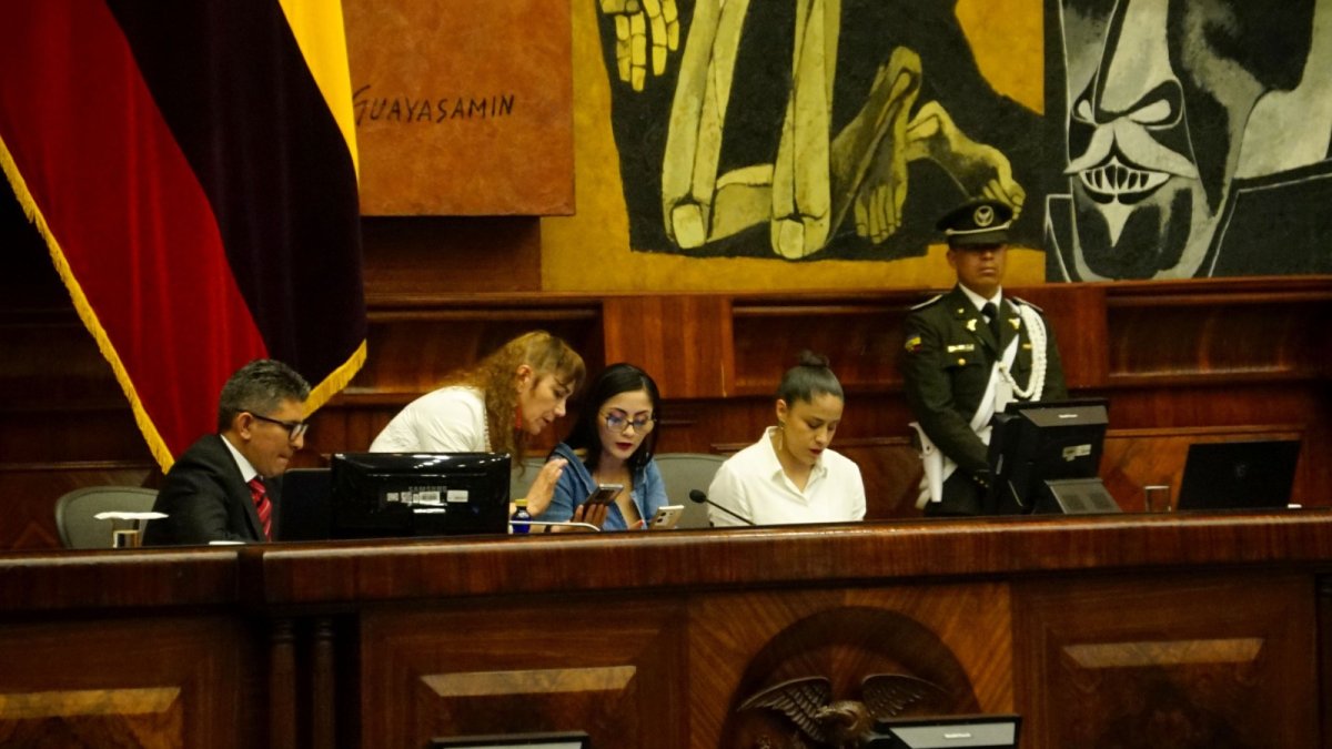 La presidenta de la Asamblea, Viviana Veloz, en una de las últimas sesiones.