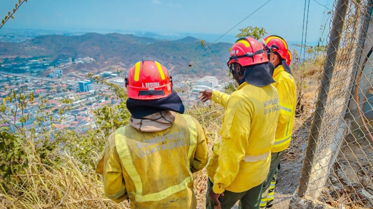 Alrededor de cien incendios se encuentran aún en Cerro Azul evitando que se propague el fuego en los puntos aún activos.