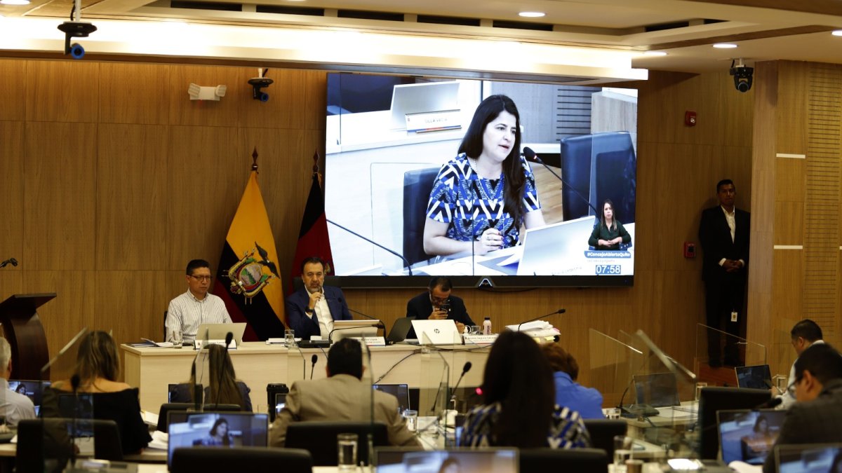 Imagen de la sesión del Concejo Metropolitano de este 3 de diciembre de 2024.