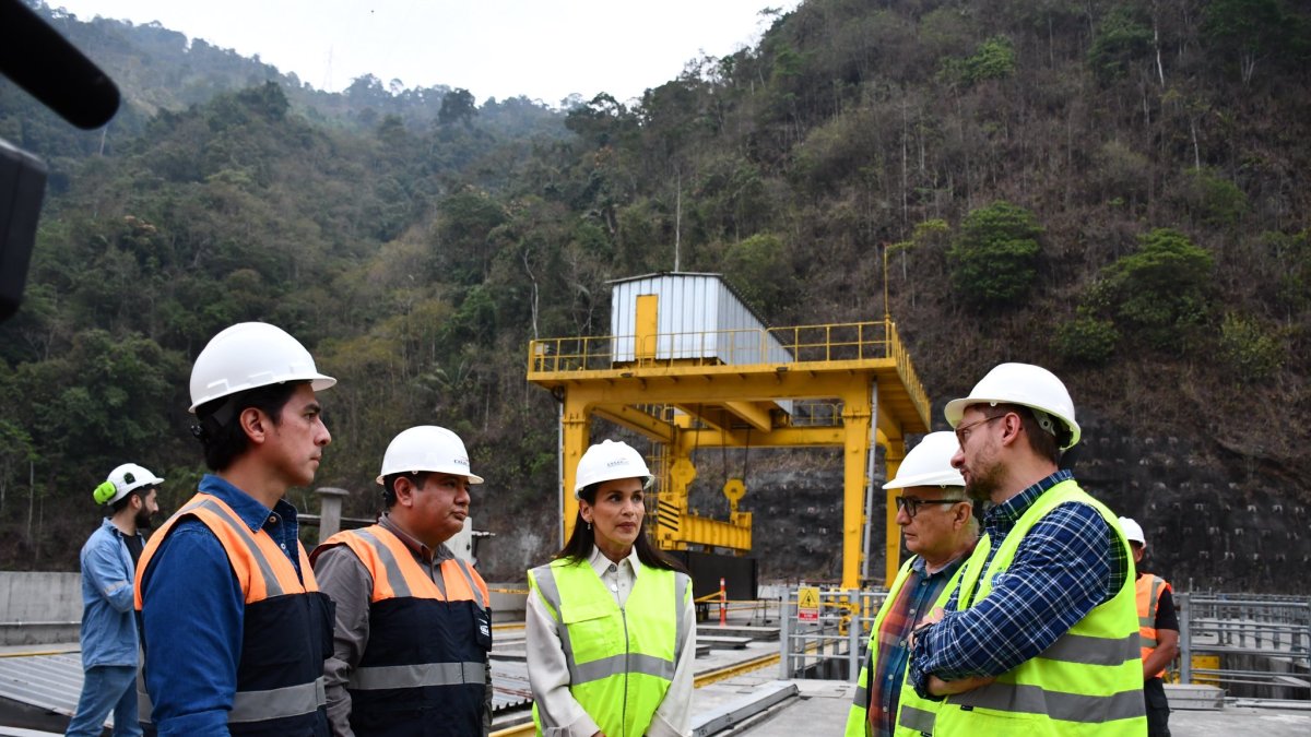 La ministra de energía, Inés Manzano, anuncia un análisis del plazo en el fallo de la Corte Constitucional.