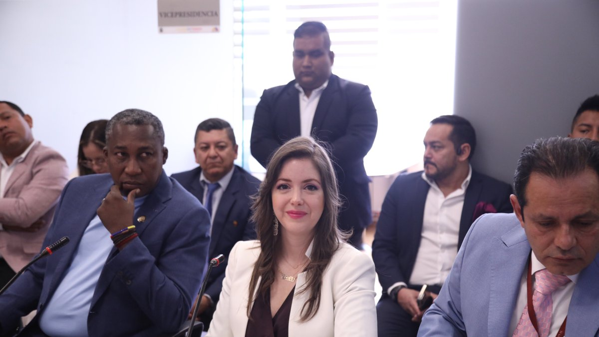 La asambleísta del correísmo, Mónica Palacios.