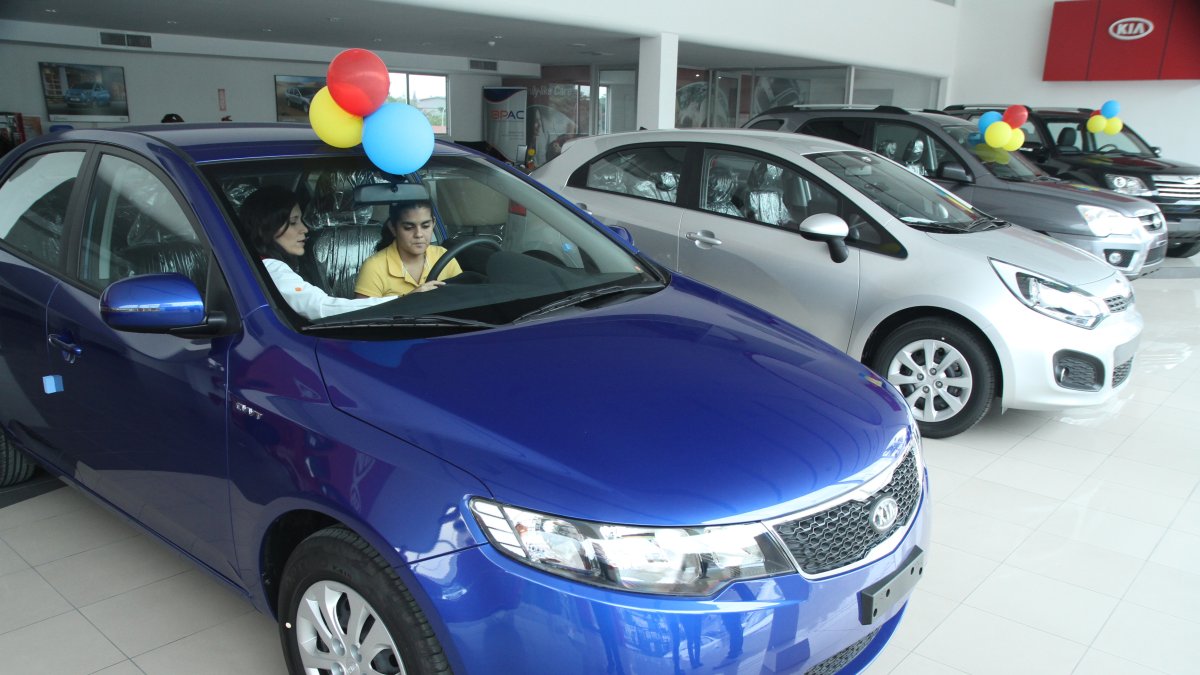 En el caso de los vehículos livianos, el total de ventas registradas en noviembre alcanzó las 7.310 unidades.