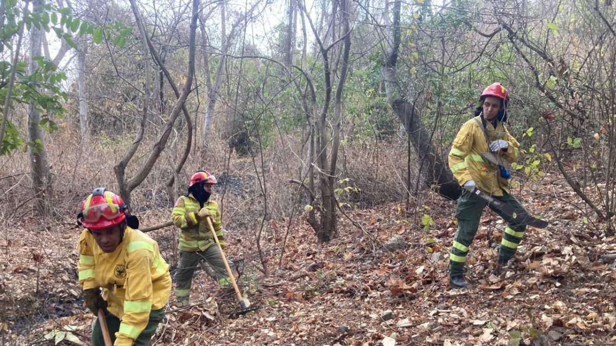 Bomberos realizaron tareas para sofocar los pequeños focos activos en el Cerro Azul.