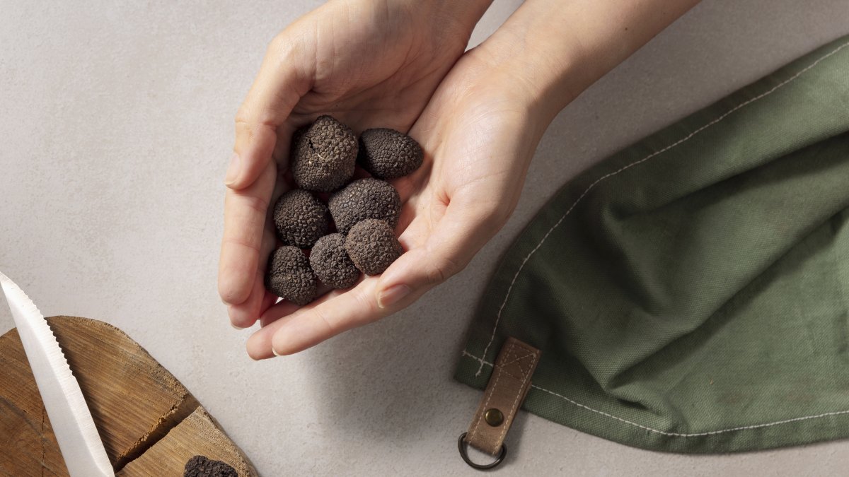 Las trufas son un manjar raro y codiciado