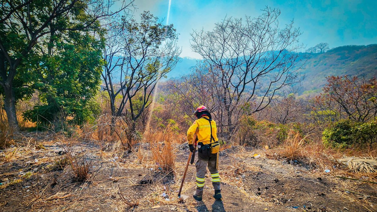 Un miembro del Cuerpo de Bomberos de Guayaquil inspecciona área de Cerro Azul, en el norte de Guayaquil.