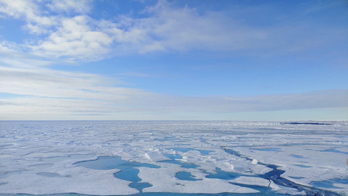 El hielo marino del Ártico se derrite a un ritmo sin precedentes. CRÉDITO: Céline Heuzé/Universidad de Gotemburgo.
