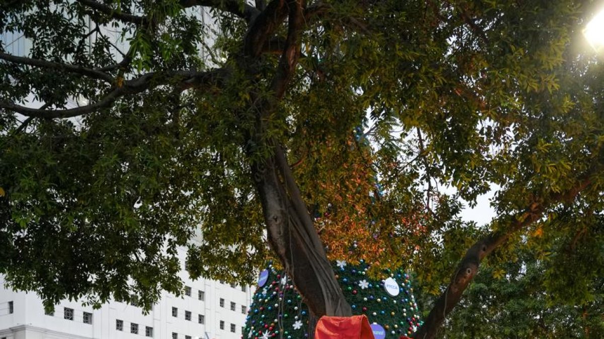 Guayaquil tiene un nuevo spot para sus fotos navideñas.
