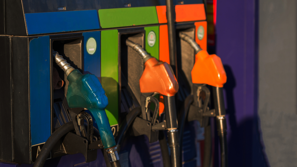 Camddepe exige mejoras en la logística de distribución para evitar el caos actual.