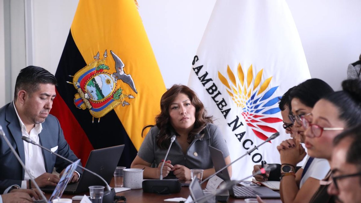 La Comisión de Seguridad sesionará para aprobar resolución.