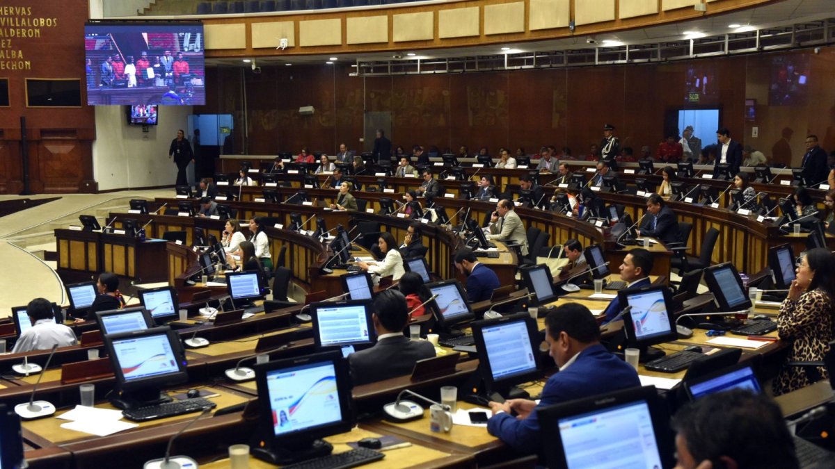 El Pleno de la Asamblea en 2025 se conformará de 15 nacionales, 130 provinciales y seis del extranjero.