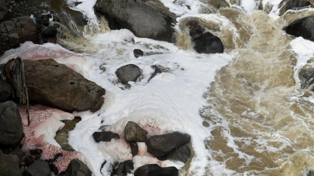 Activistas defendieron los derechos del río Machángara, que tiene un estado de contaminación grave.