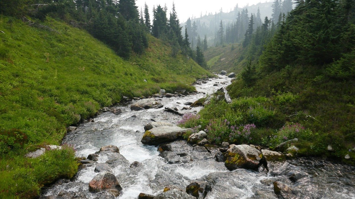 Un informe de Etapa determina que las afectaciones ambientales traspasarán las 2.149 hectáreas del área de concesión minera.