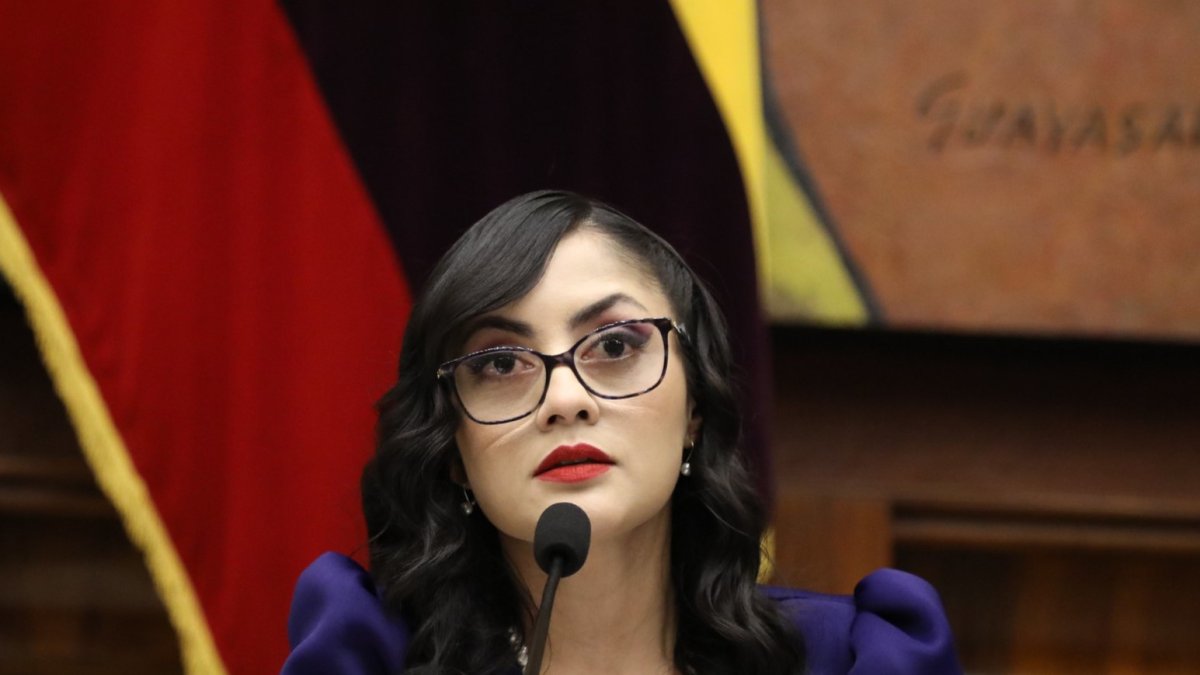 La presidenta de la Asamblea Viviana Veloz anunció acciones por Ley Antipillos.