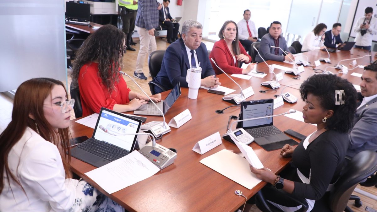 La Comisión de Régimen Económico fue la encargada de tramitar la Ley Antipillos.