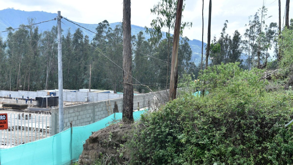 El predio fue entregado como dación de pago al Estado y fue considerado por el Municipio como un bosque protector.